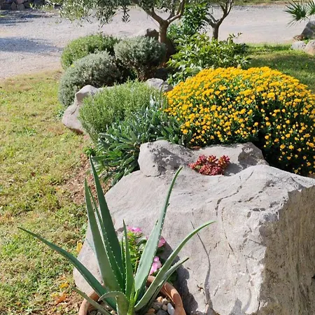 Oliva Garden شقة *